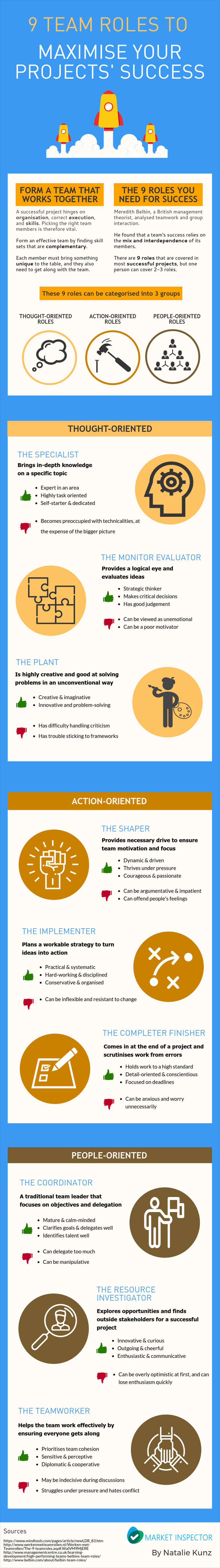 Team roles infographic